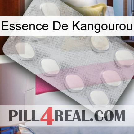 Kangaroo Essence 16